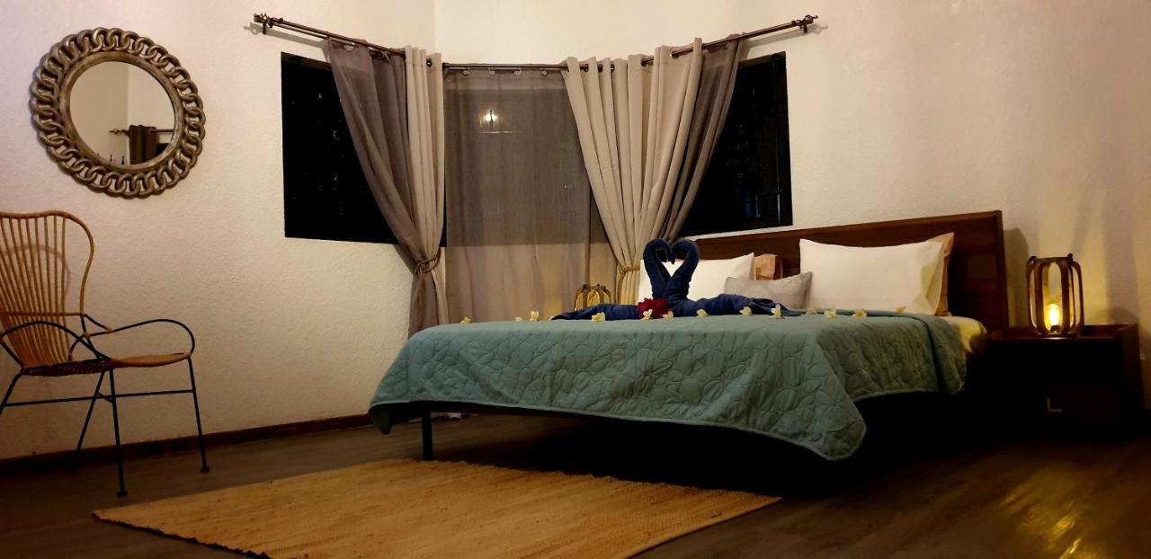 La Maison De La Plage アルビオン エクステリア 写真